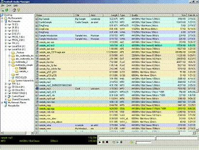 Toolsoft Audio Manager