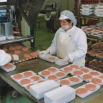 subsidio mujer trabajadora subsidio mujer trabajadora 150x150 Postular a Bono Mujer Trabajadora 2012, subsidioempleomujer.cl
